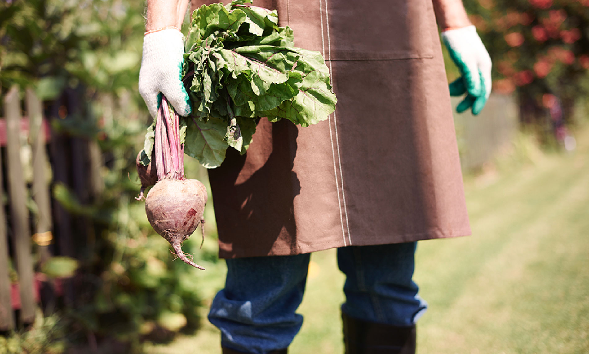 Органические овощи